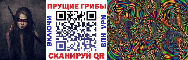 Галлюциногенные грибы Psilocybe  kraken   площадка официальный сайт  Ялта 